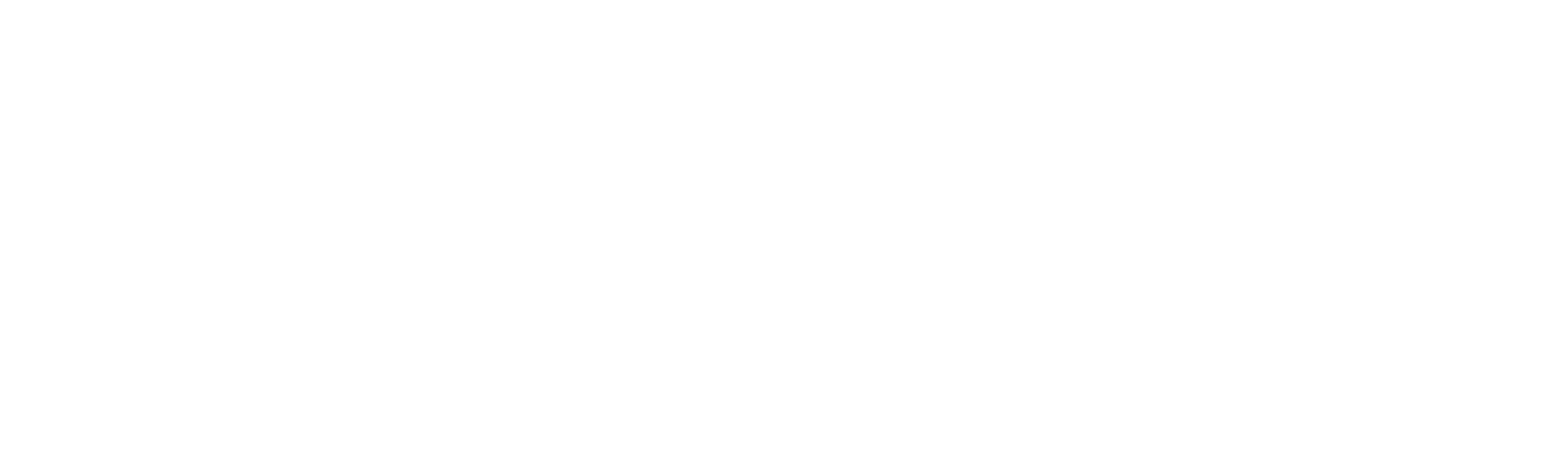 BIG FISH Payment Gateway