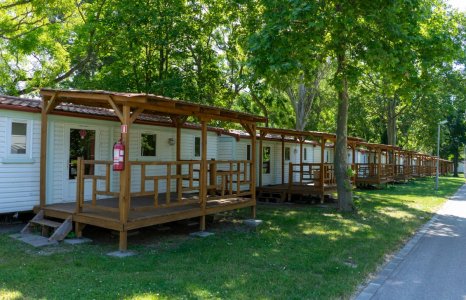 kutyabarát strand balaton school